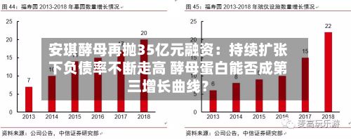 安琪酵母再抛35亿元融资:持续扩张下负债率不断走高 酵母蛋白能否成第三增长曲线?-第2张图片