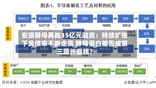 安琪酵母再抛35亿元融资:持续扩张下负债率不断走高 酵母蛋白能否成第三增长曲线?-第3张图片