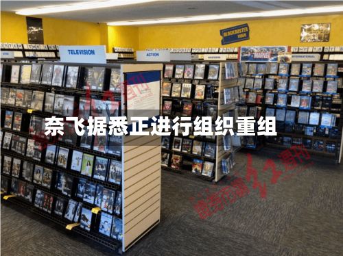 奈飞据悉正进行组织重组-第2张图片
