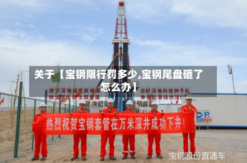 关于【宝钢限行罚多少,宝钢尾盘砸了怎么办】-第2张图片