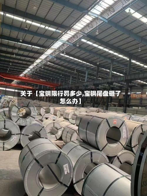 关于【宝钢限行罚多少,宝钢尾盘砸了怎么办】
