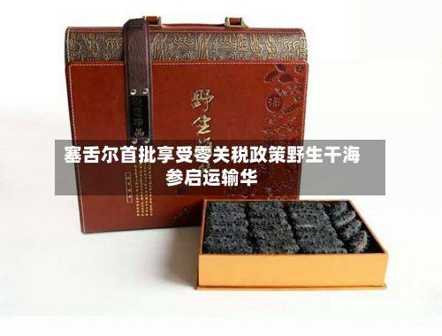 塞舌尔首批享受零关税政策野生干海参启运输华-第2张图片
