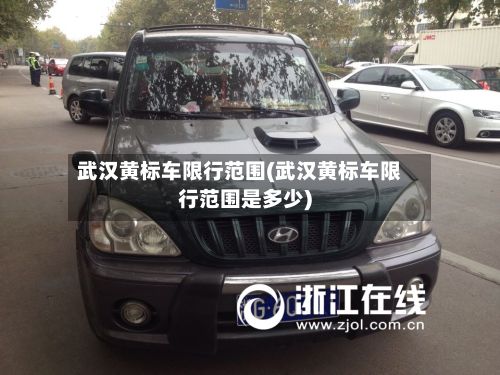 武汉黄标车限行范围(武汉黄标车限行范围是多少)