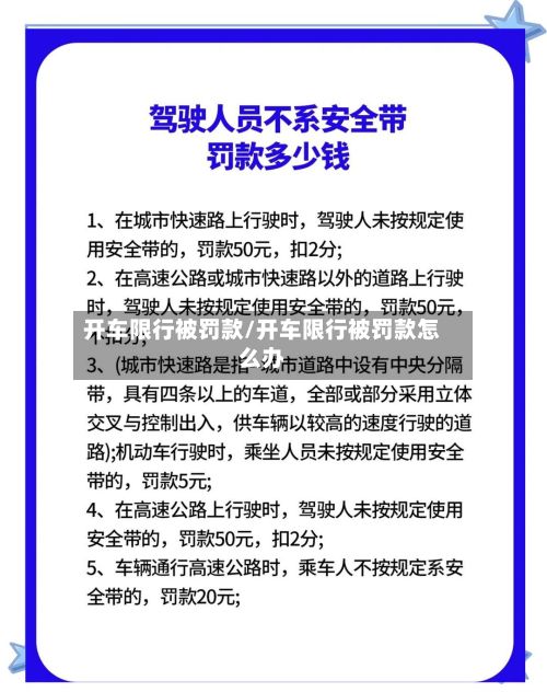 开车限行被罚款/开车限行被罚款怎么办