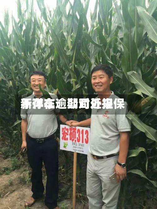 新洋丰：公司近来不存在逾期对外担保