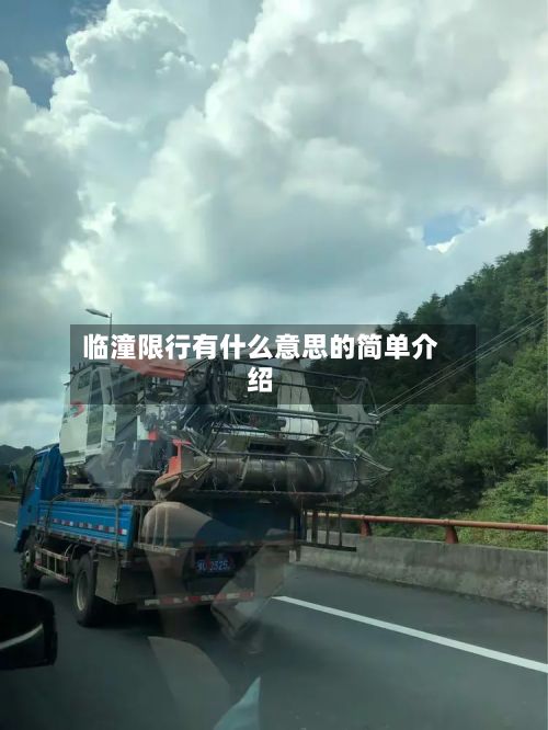临潼限行有什么意思的简单介绍-第2张图片