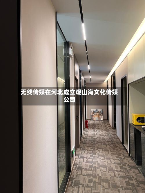 无线传媒在河北成立观山海文化传媒公司-第2张图片