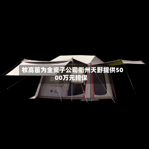 牧高笛为全资子公司衢州天野提供5000万元担保