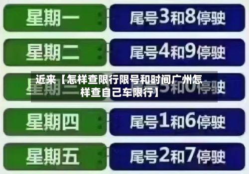 近来【怎样查限行限号和时间广州怎样查自己车限行】-第2张图片