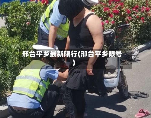 邢台平乡最新限行(邢台平乡限号)-第2张图片