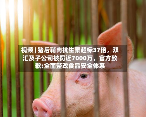 视频 | 猪后鞘肉抗生素超标37倍	，双汇及子公司被罚近7000万，官方致歉:全面整改食品安全体系-第2张图片