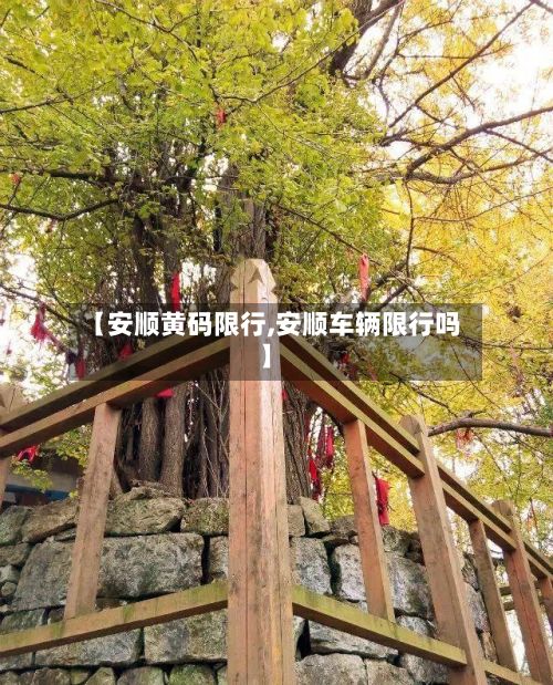 【安顺黄码限行,安顺车辆限行吗】