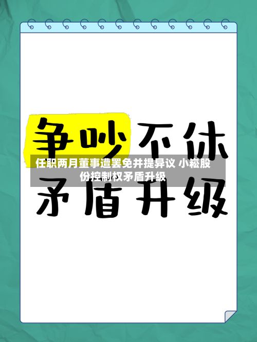 任职两月董事遭罢免并提异议 小崧股份控制权矛盾升级