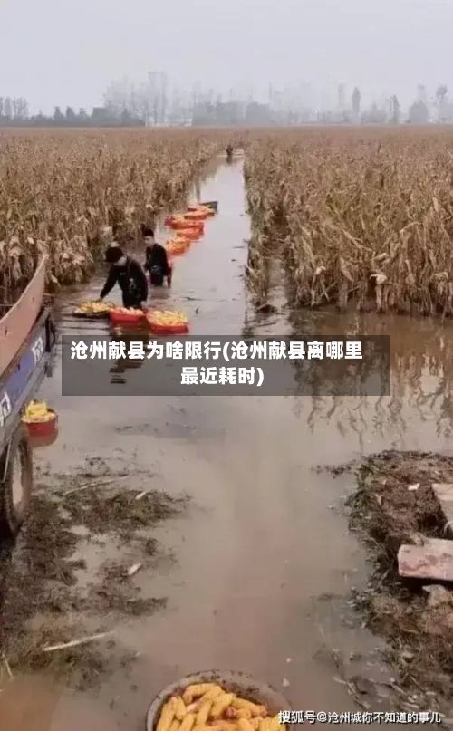 沧州献县为啥限行(沧州献县离哪里最近耗时)-第2张图片