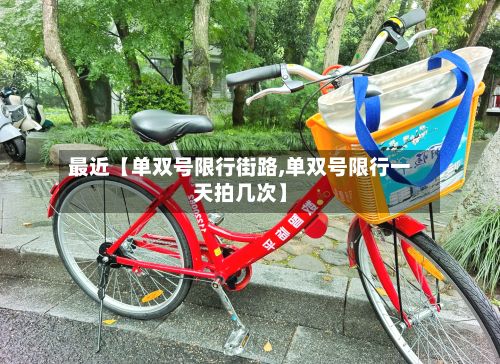 最近【单双号限行街路,单双号限行一天拍几次】-第3张图片