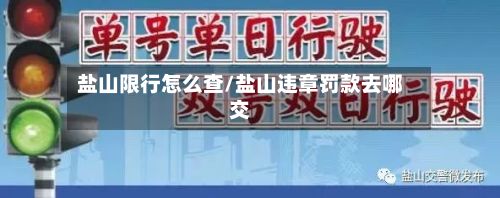 盐山限行怎么查/盐山违章罚款去哪交-第2张图片