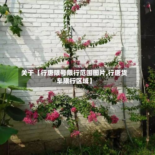 关于【行唐限号限行范围图片,行唐货车限行区域】-第2张图片