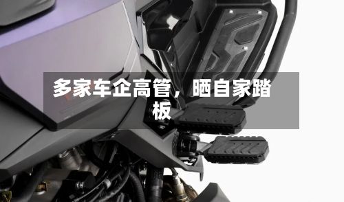 多家车企高管，晒自家踏板