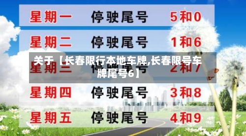 关于【长春限行本地车牌,长春限号车牌尾号6】-第2张图片