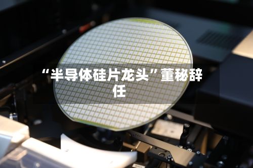 “半导体硅片龙头”董秘辞任