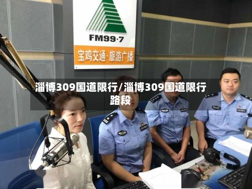 淄博309国道限行/淄博309国道限行路段-第2张图片