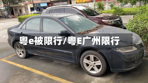 粤e被限行/粤E广州限行-第3张图片