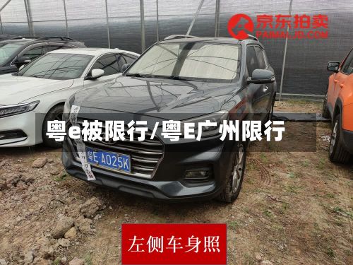 粤e被限行/粤E广州限行-第2张图片