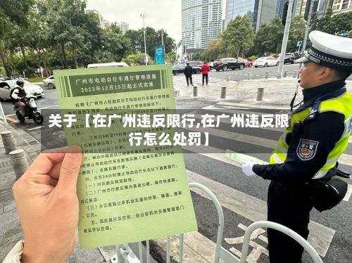 关于【在广州违反限行,在广州违反限行怎么处罚】-第3张图片