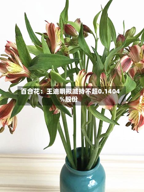百合花：王迪明拟减持不超0.1404%股份