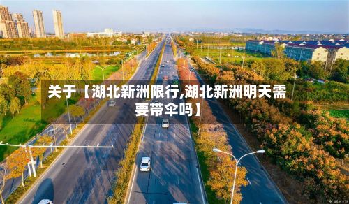 关于【湖北新洲限行,湖北新洲明天需要带伞吗】