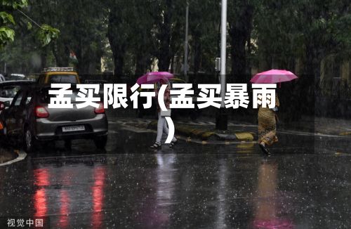 孟买限行(孟买暴雨)
