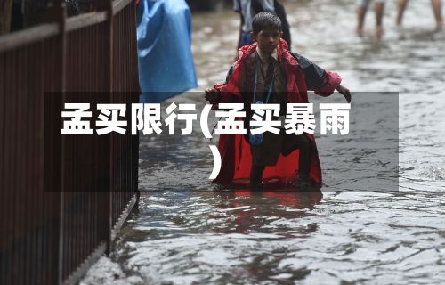 孟买限行(孟买暴雨)-第2张图片
