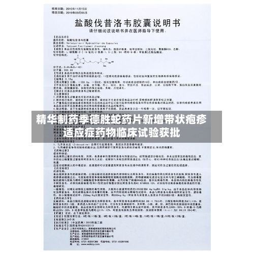 精华制药季德胜蛇药片新增带状疱疹适应症药物临床试验获批-第2张图片