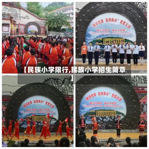【民族小学限行,民族小学招生简章】