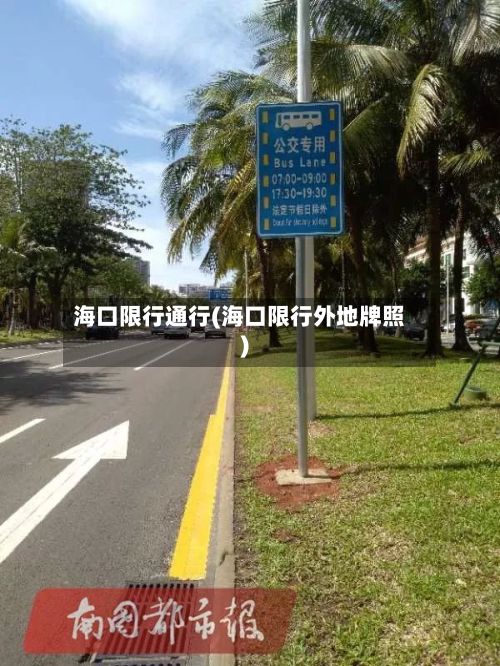 海口限行通行(海口限行外地牌照)