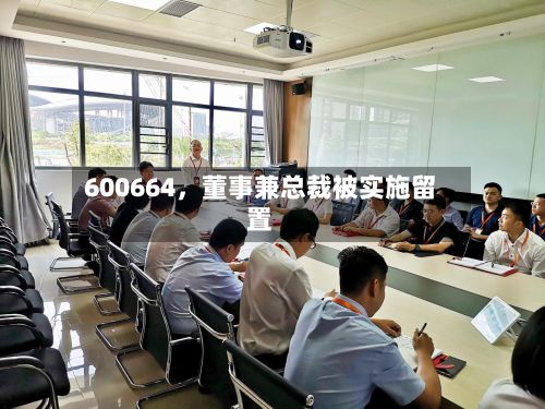 600664，董事兼总裁被实施留置-第1张图片