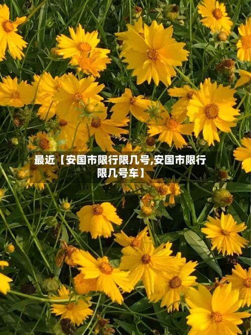 最近【安国市限行限几号,安国市限行限几号车】