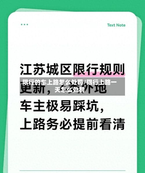 限行的车上路怎么处罚/限行上路一天怎么处罚-第3张图片