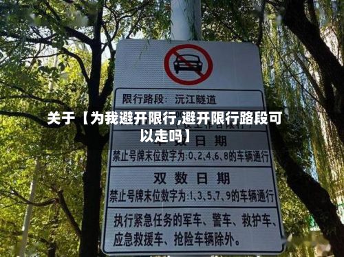 关于【为我避开限行,避开限行路段可以走吗】