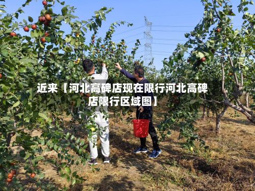 近来【河北高碑店现在限行河北高碑店限行区域图】