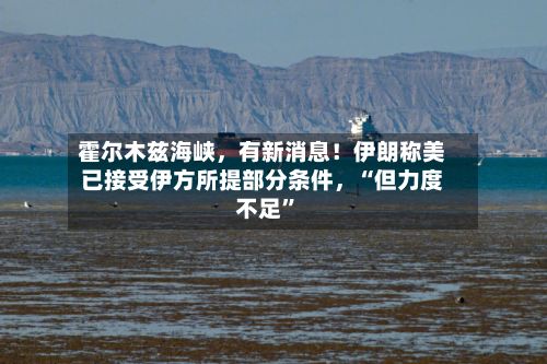 霍尔木兹海峡，有新消息！伊朗称美已接受伊方所提部分条件，“但力度不足”