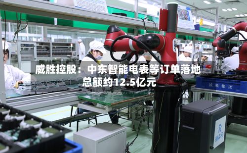 威胜控股:中东智能电表等订单落地 总额约12.5亿元-第1张图片