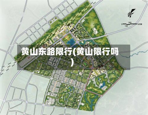 黄山东路限行(黄山限行吗)-第3张图片
