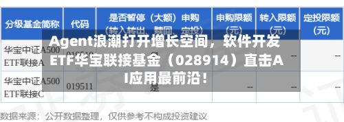 Agent浪潮打开增长空间，软件开发ETF华宝联接基金（028914）直击AI应用最前沿！-第3张图片