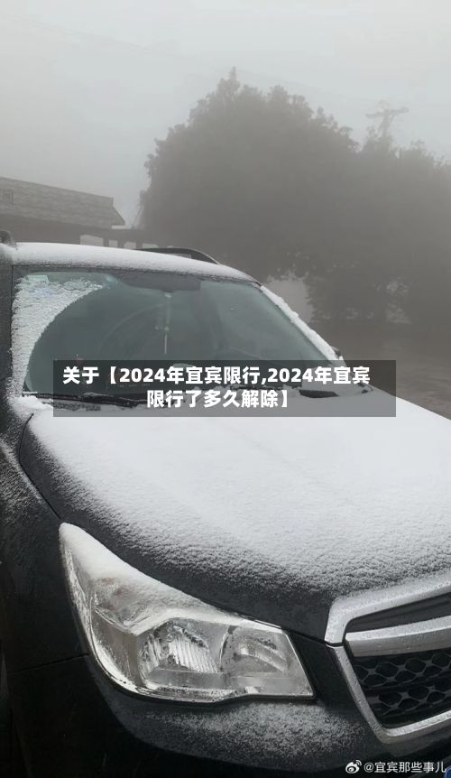关于【2024年宜宾限行,2024年宜宾限行了多久解除】-第2张图片