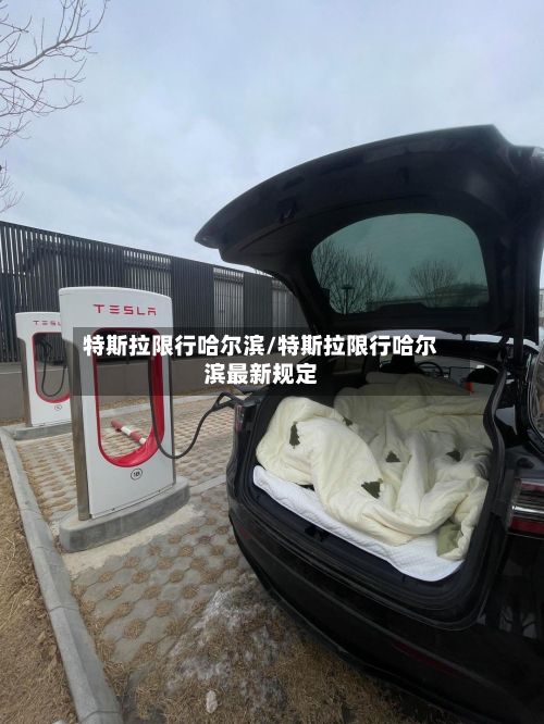特斯拉限行哈尔滨/特斯拉限行哈尔滨最新规定-第3张图片