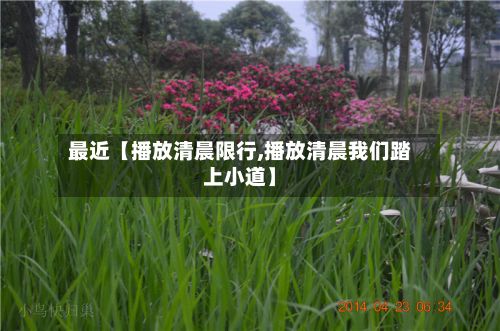 最近【播放清晨限行,播放清晨我们踏上小道】-第2张图片