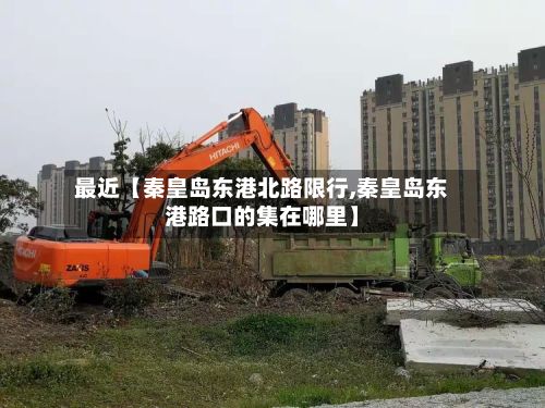 最近【秦皇岛东港北路限行,秦皇岛东港路口的集在哪里】-第2张图片