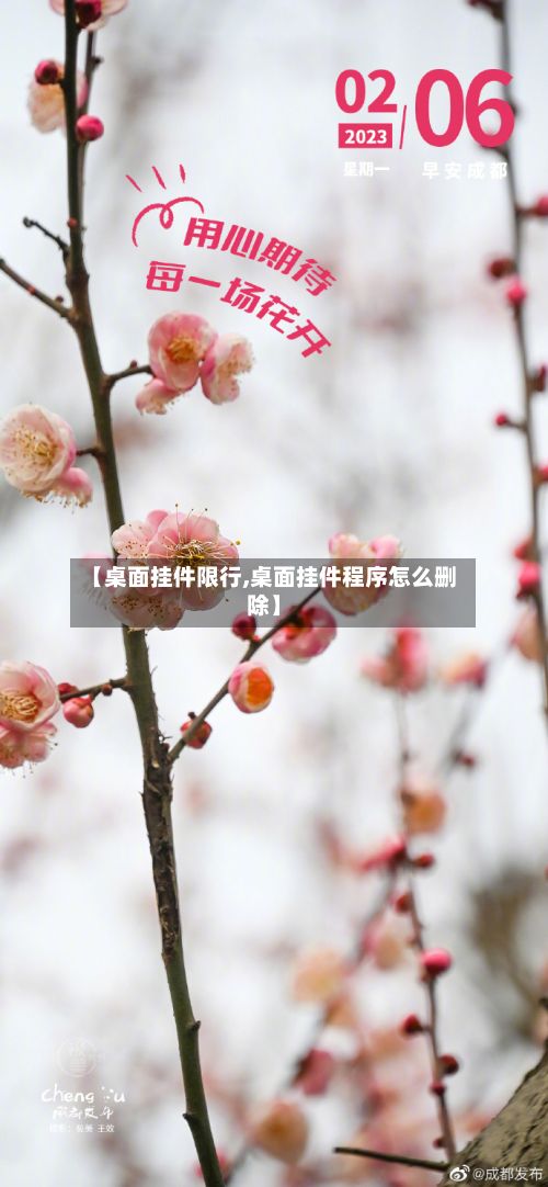 【桌面挂件限行,桌面挂件程序怎么删除】