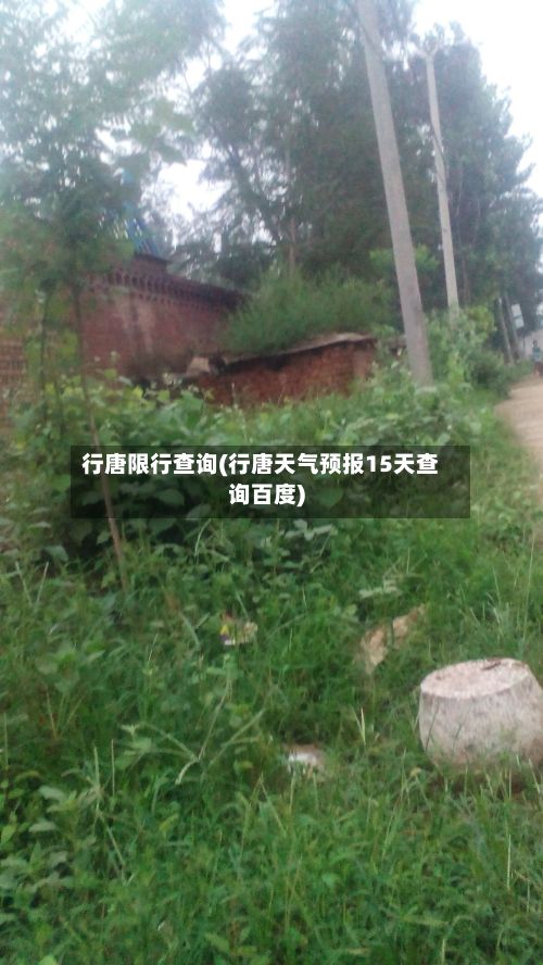 行唐限行查询(行唐天气预报15天查询百度)-第2张图片